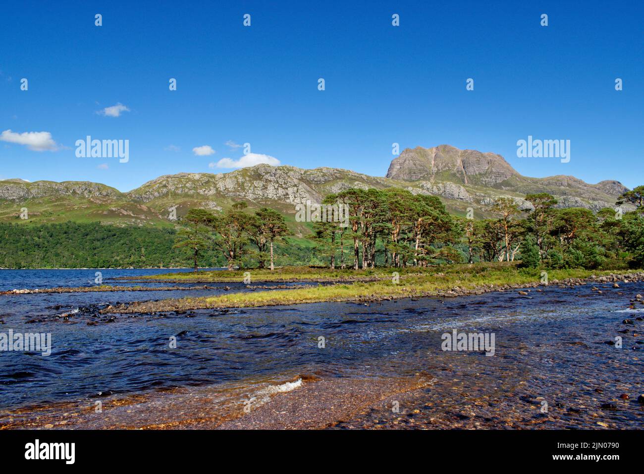 SLIOCH MOUNTAIN WESTER ROSS SCOTLAND IN SUMMER SCOTS PINES Pinus sylvestris AND MOUTH OF THE RIVER GRUDIE Stock Photo