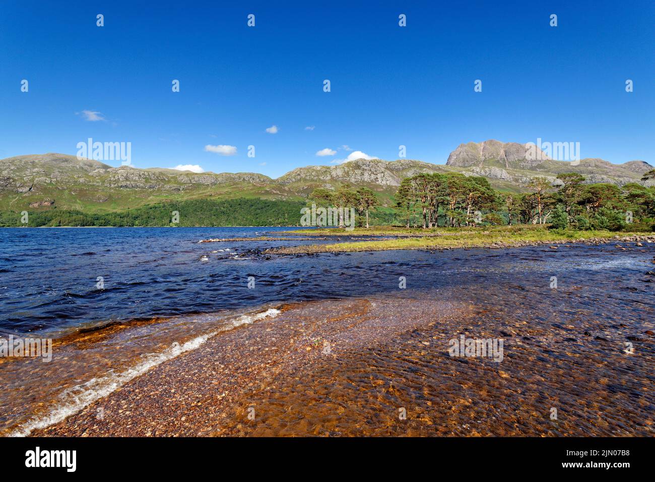 SLIOCH MOUNTAIN WESTER ROSS SCOTLAND IN SUMMER SCOTS PINES Pinus sylvestris LOCH MAREE AND MOUTH OF THE RIVER GRUDIE Stock Photo