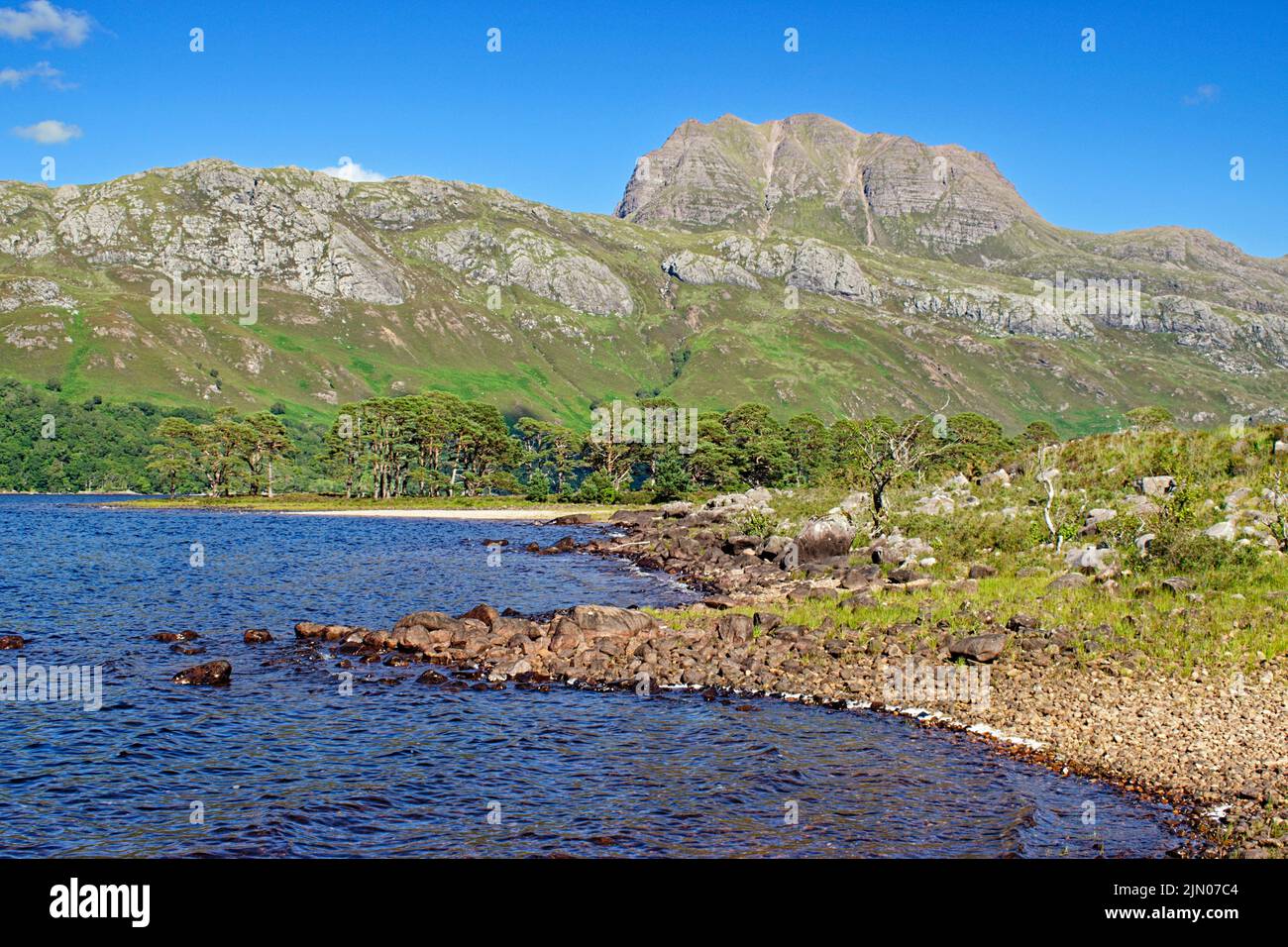 SLIOCH MOUNTAIN WESTER ROSS SCOTLAND IN SUMMER SHORELINE OF LOCH MAREE AND SCOTS PINE TREES Stock Photo