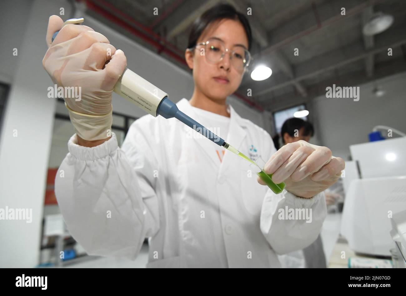GUIYANG, CHINA AUGUST 8, 2022 A technician puts microalgae cells