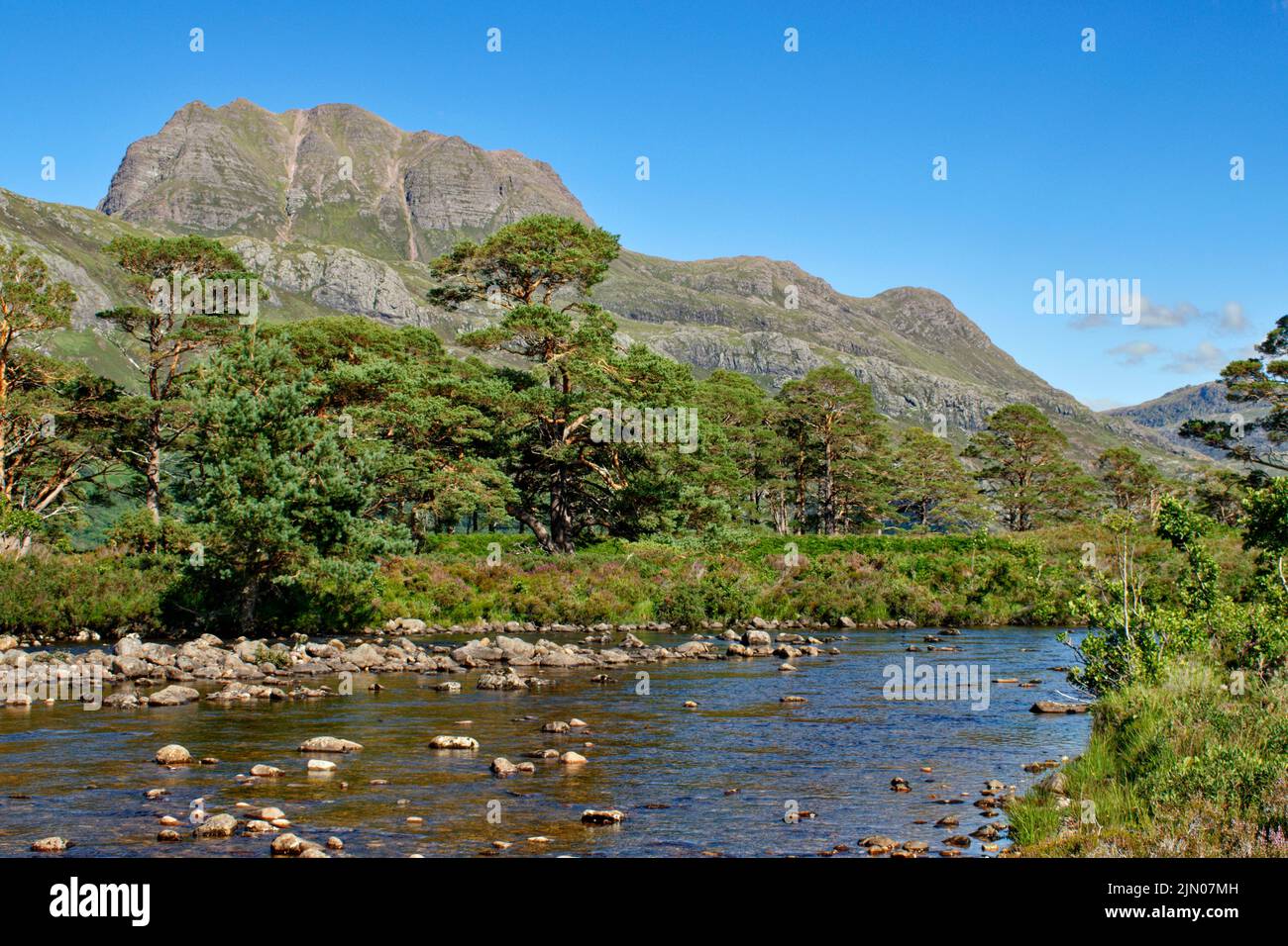 SLIOCH MOUNTAIN WESTER ROSS SCOTLAND IN SUMMER THE RIVER GRUDIE SCOTS PINES Pinus sylvestris AND PURPLE HEATHER Stock Photo