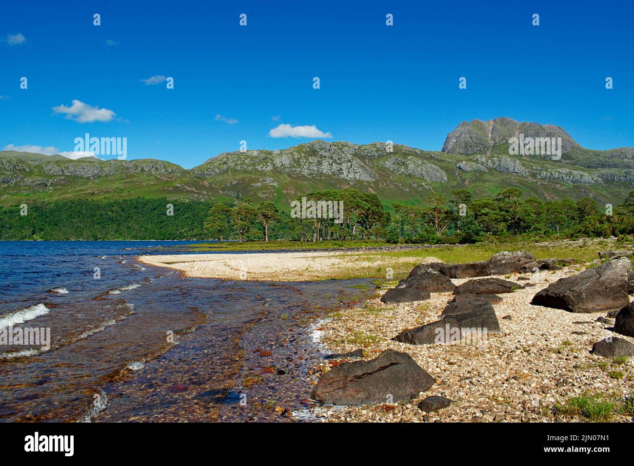 SLIOCH MOUNTAIN WESTER ROSS SCOTLAND IN SUMMER THE SHORELINE OF LOCH MAREE AND SCOTS PINE TREES Stock Photo