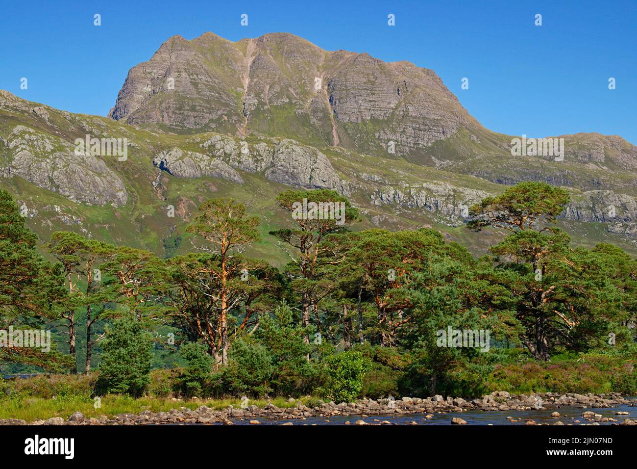 SLIOCH MOUNTAIN WESTER ROSS SCOTLAND IN SUMMER WITH SCOTS PINES Pinus sylvestris AND THE RIVER GRUDIE Stock Photo