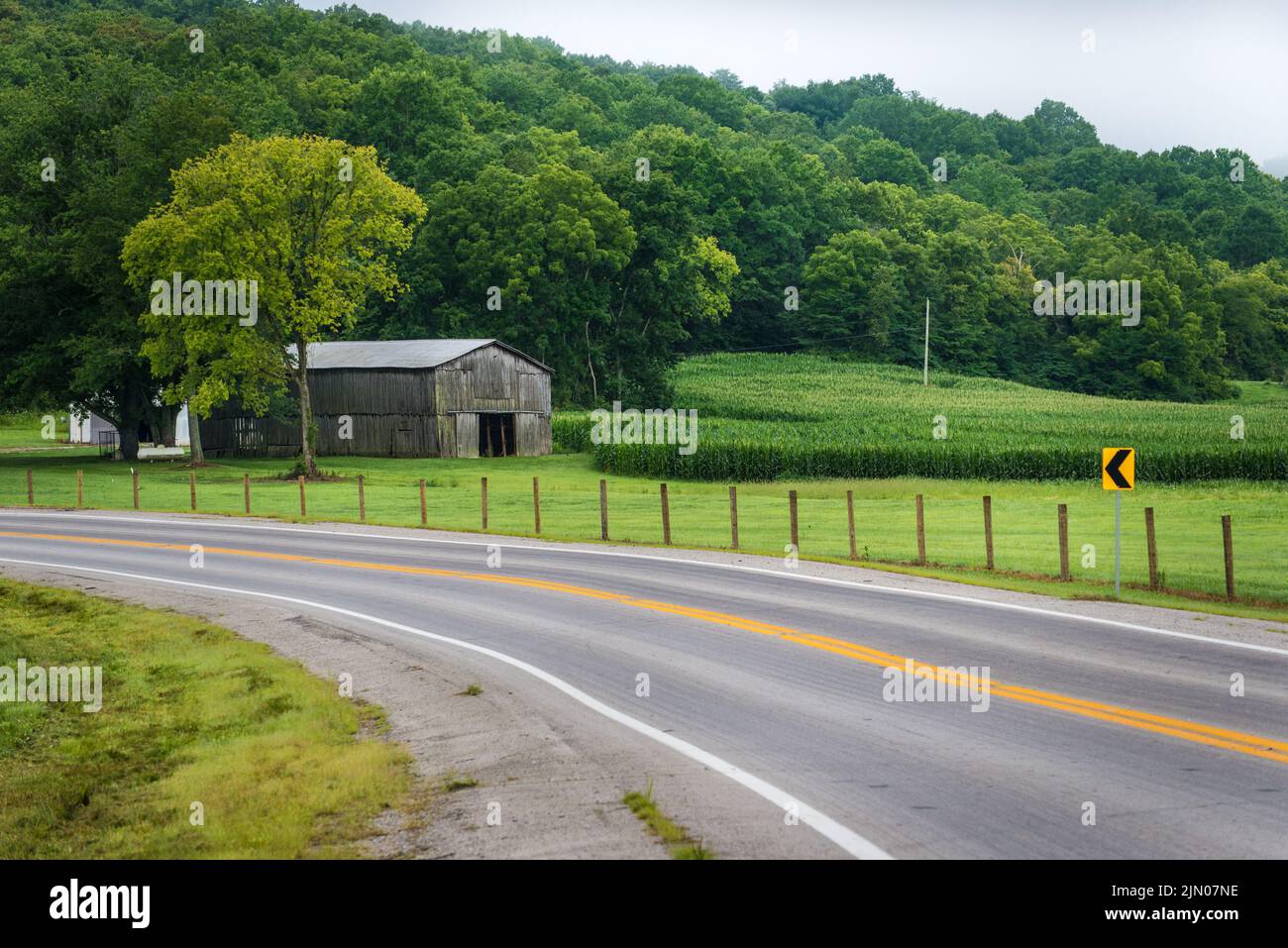 Cornfield and Barn - Monterey - Kentucky Stock Photo