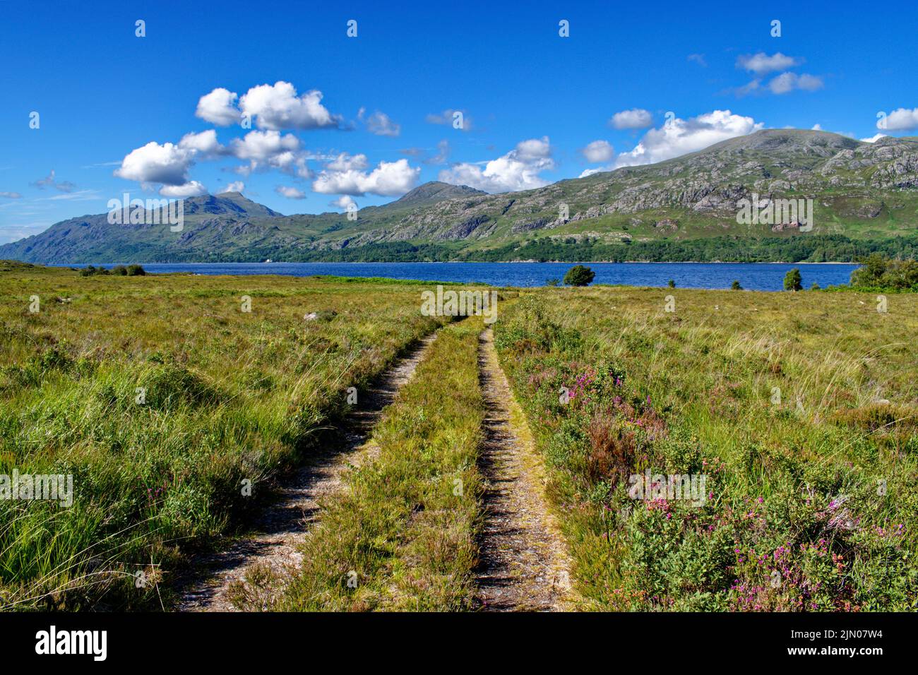 SLIOCH MOUNTAIN WESTER ROSS SCOTLAND LOCH MAREE IN SUMMER AND A HEATHER LINED TRACK Stock Photo