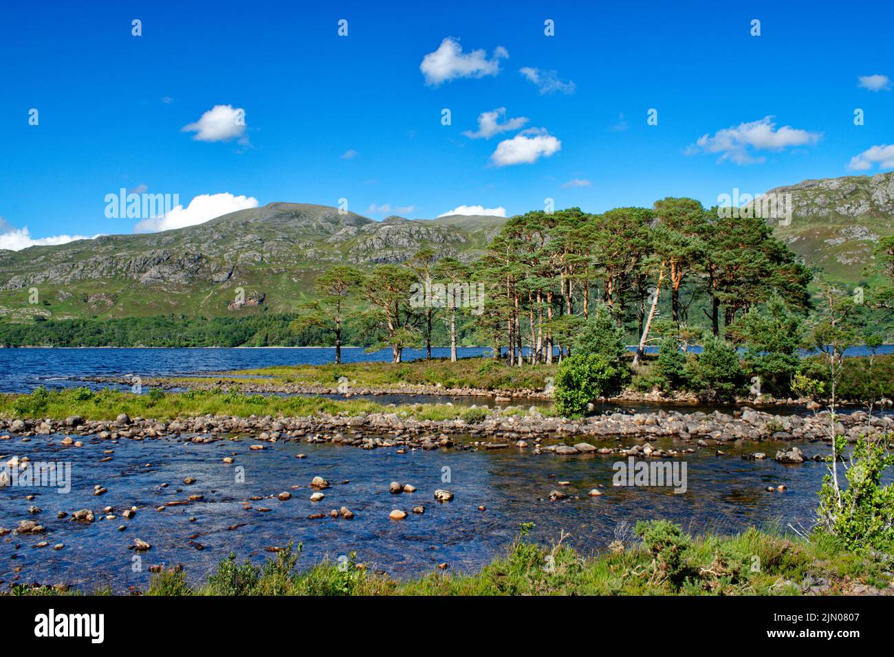 SLIOCH MOUNTAIN WESTER ROSS SCOTLAND LOCH MAREE IN SUMMER SCOTS PINES ON AN ISLAND AND MOUTH OF RIVER GRUDIE Stock Photo