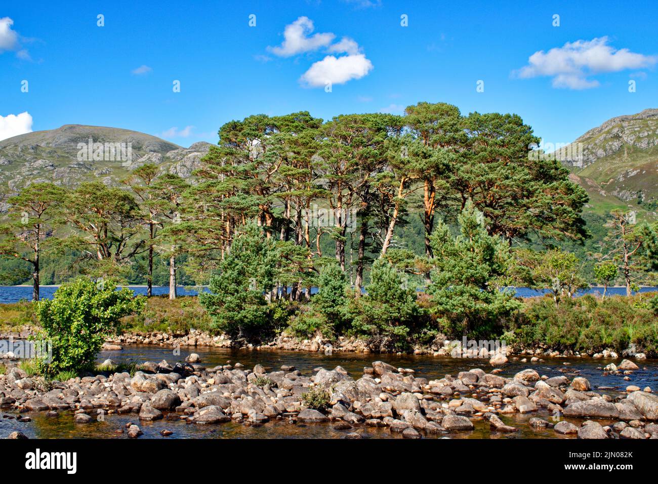 SLIOCH MOUNTAIN WESTER ROSS SCOTLAND SUMMER THE RIVER GRUDIE AND ON AN ISLAND SCOTS PINES Pinus sylvestris Stock Photo