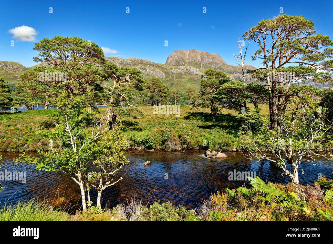 SLIOCH MOUNTAIN WESTER ROSS SCOTLAND SUMMER WITH SCOTS PINES Pinus sylvestris AND THE RIVER GRUDIE Stock Photo