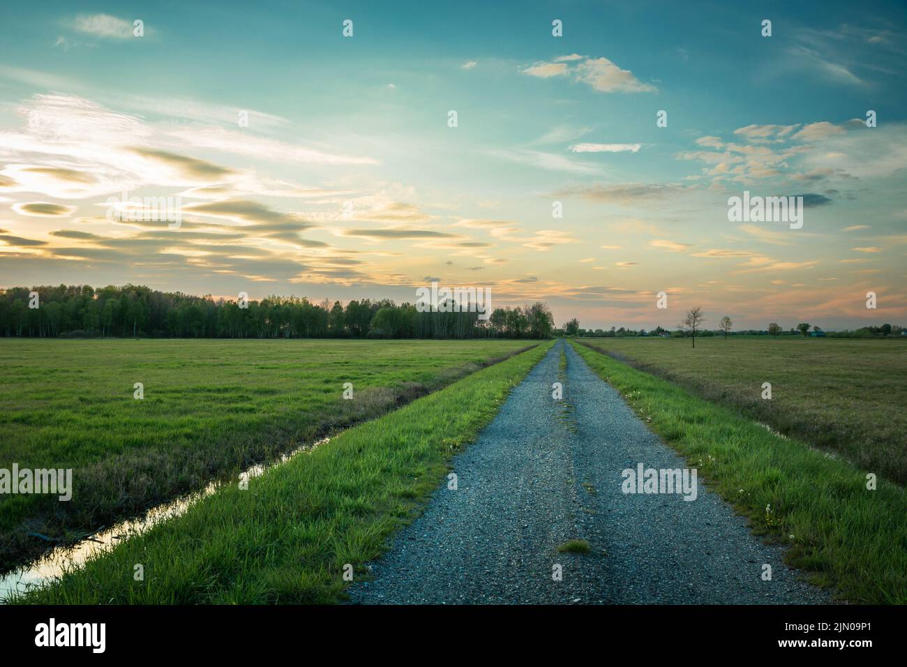 A gravel road through green meadows and a forest on the horizon Stock Photo