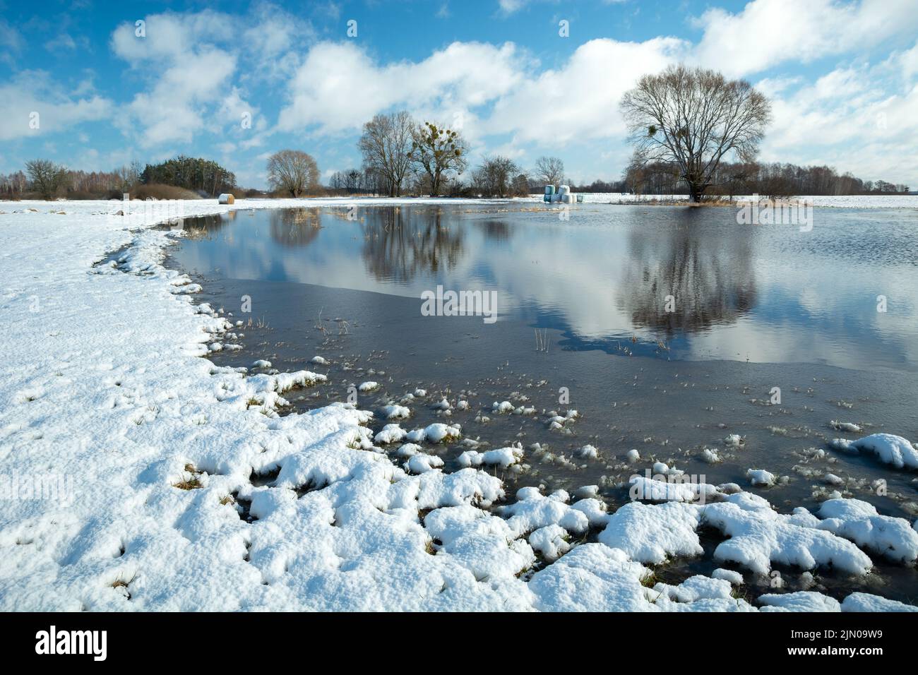 Snow and water on the meadow, trees on the horizon and white clouds on the blue sky Stock Photo