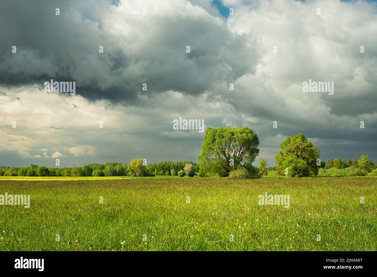 Cloudy sky over a green rural landscape, spring view Stock Photo
