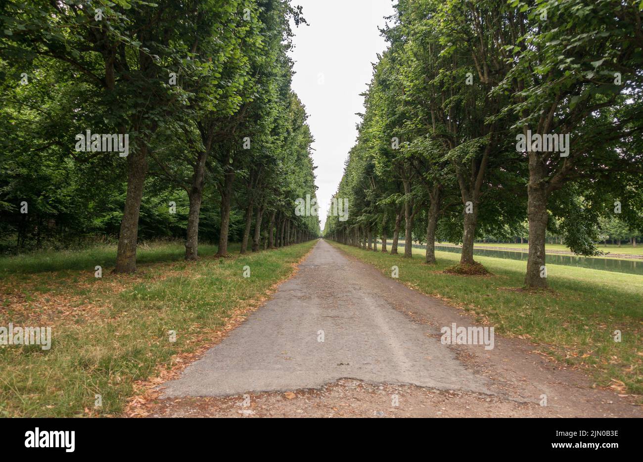 Road next to The Grand Canal in the gardens of the Chateau de Fontainebleau, France. Stock Photo