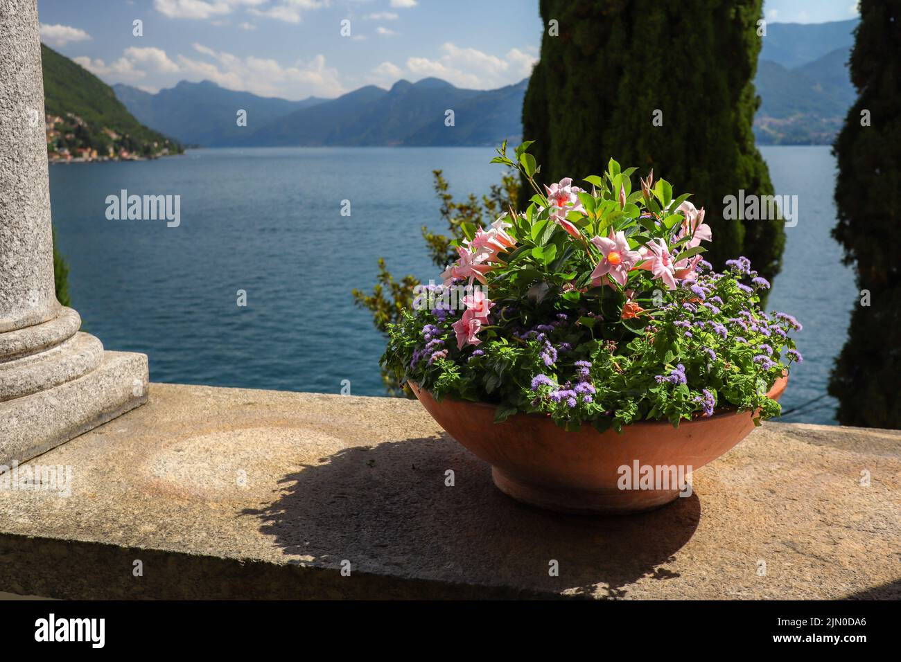 Beautiful View of Flower in Flowerpot at Lake Como. Botanical Decoration at Lario during Sunny Summer Day. Stock Photo