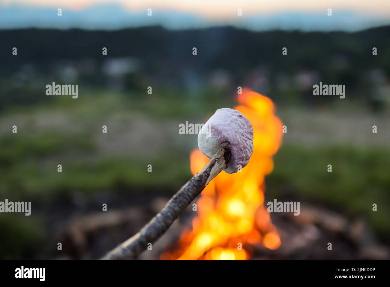 Shallow Depth of Field of Marshmallow in front of Fire. Sugar Confectionery on Stick during Evening Outside. Stock Photo