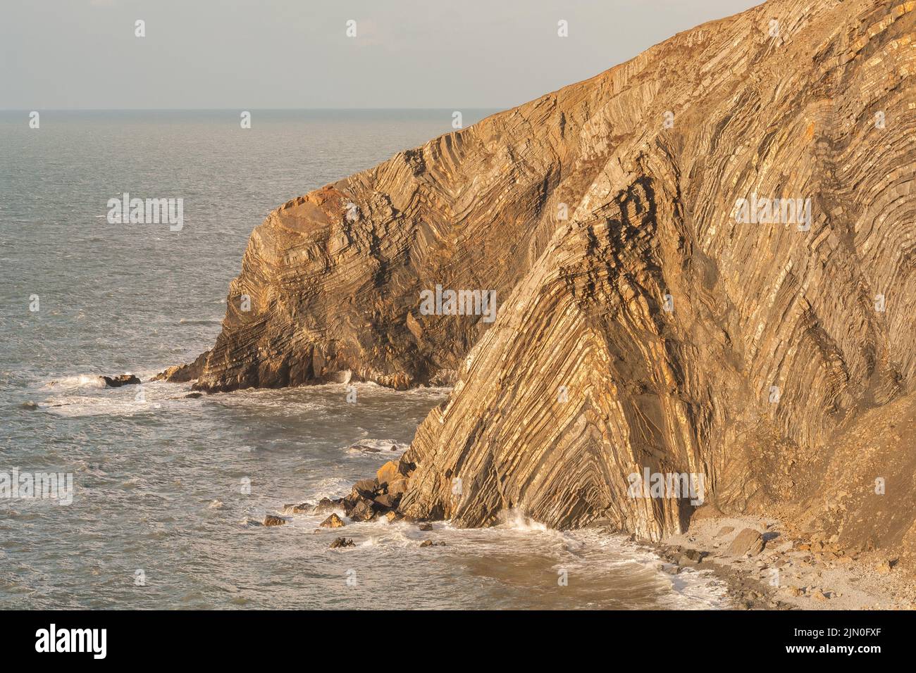 Angular anticlinal fold Traeth Godi'r Coch Cemaes Head Pembrokeshire Wales UK Europe.  Atlantic Grey Seals can be seen hauled out on the rocky beach. Stock Photo