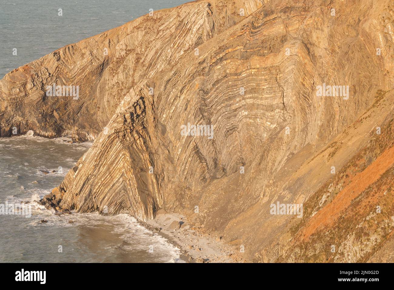 Angular anticlinal fold Traeth Godi'r Coch Cemaes Head Pembrokeshire Wales UK Europe.  Atlantic Grey Seals can be seen hauled out on the rocky beach. Stock Photo