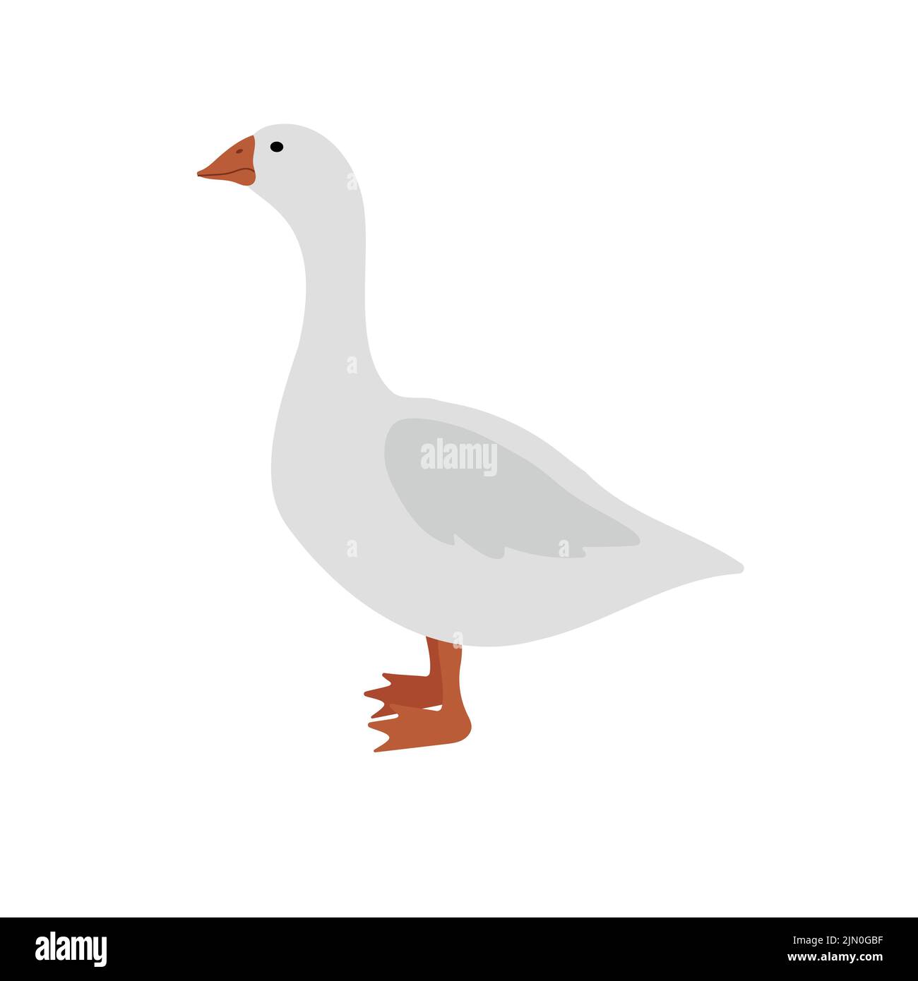 Vector hand drawn flat goose duck isolated on white background Stock Vector