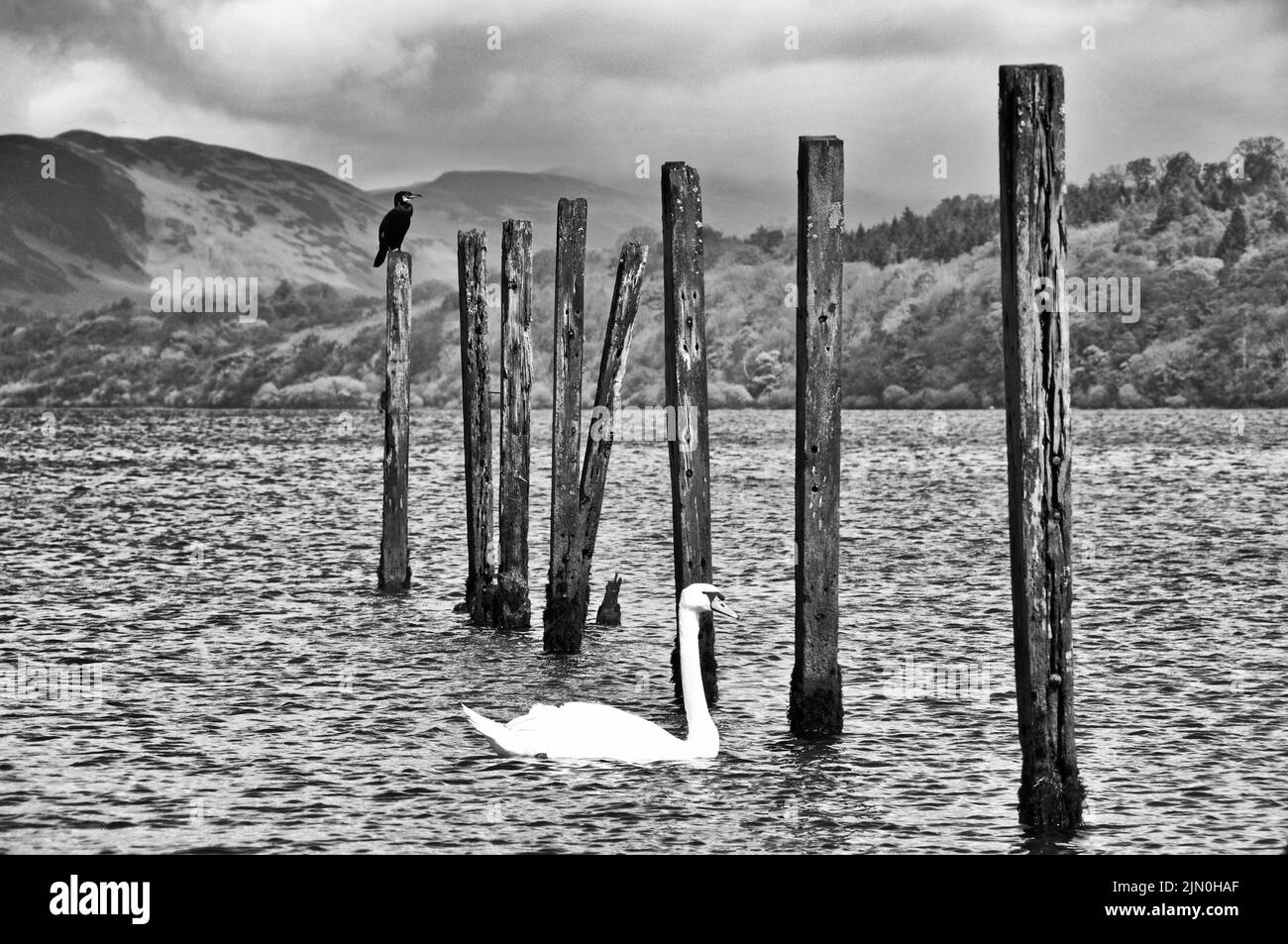 Around the UK - Loch Lomond, Scotland Stock Photo