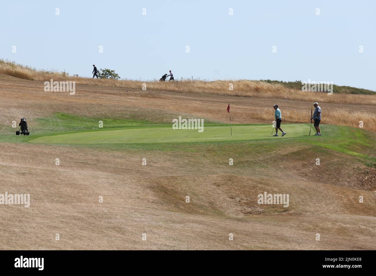 Brighton, UK. 8th Aug, 2022. Golfers putting on a lush green surrounded by scorched fairways as the temperatures continue to soar and hosepipe bans come into force around the country. Credit: James Boardman/Alamy Live News Stock Photo