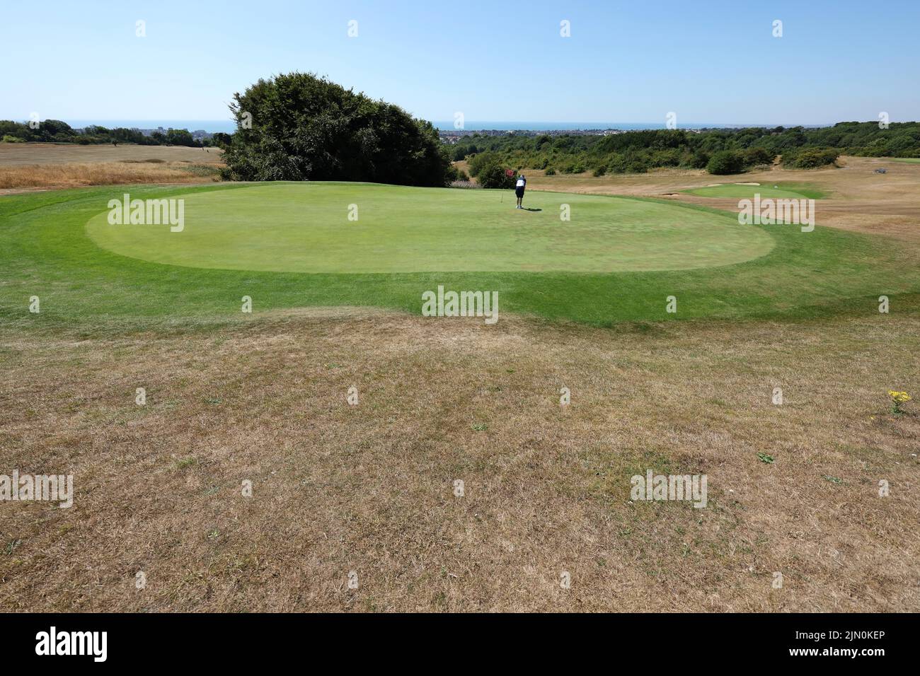 Brighton, UK. 8th Aug, 2022. Golfers putting on a lush green surrounded by scorched fairways as the temperatures continue to soar and hosepipe bans come into force around the country. Credit: James Boardman/Alamy Live News Stock Photo