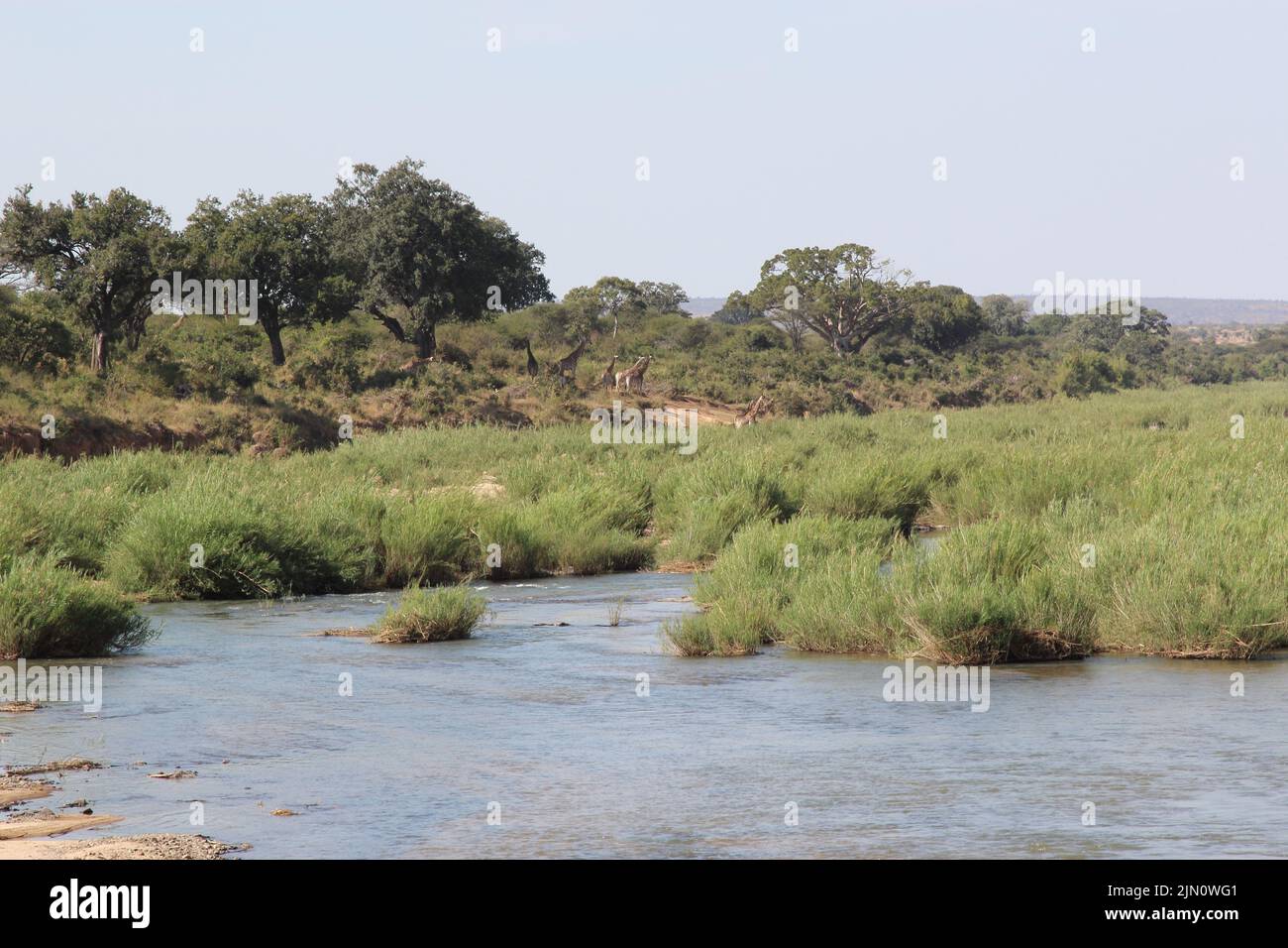 Sabie River / Sabie River Stock Photo - Alamy