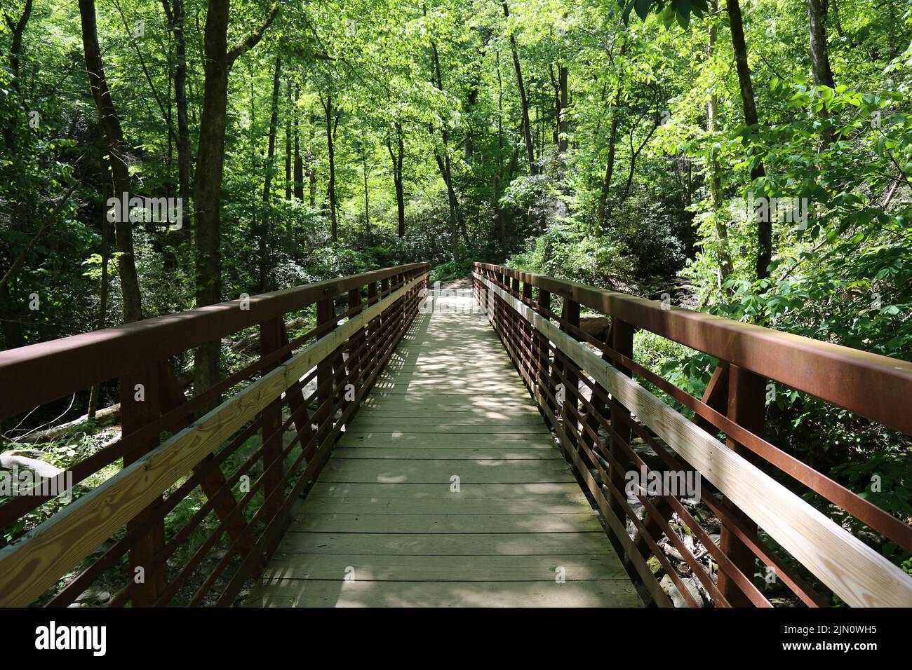 Bridge trees park architecture hi-res stock photography and images - Alamy