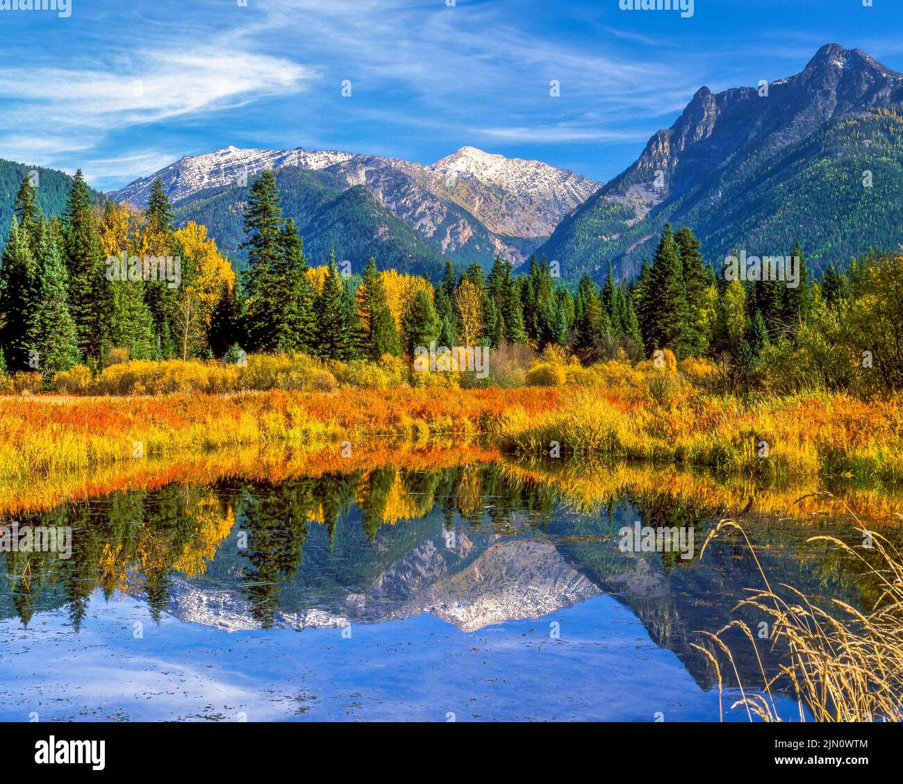 fall colors and the cabinet mountains reflected in a bull river valley wetland near troy, montana Stock Photo