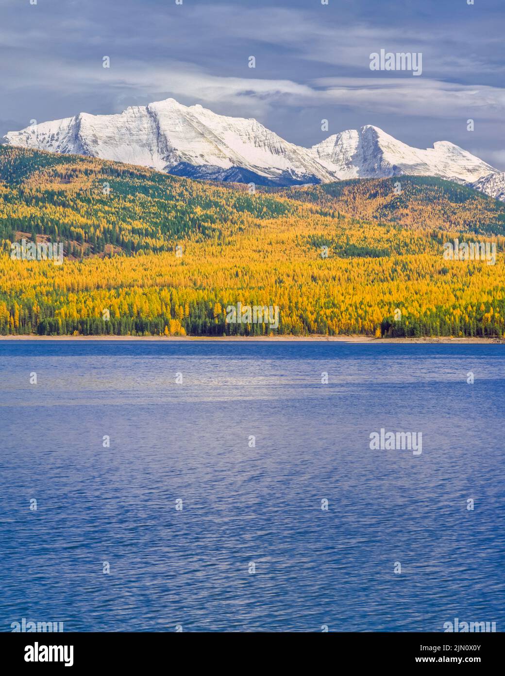 great northern mountain and mount grant in the flathead range above hungry horse reservoir and autumn larch near hungry horse, montana Stock Photo
