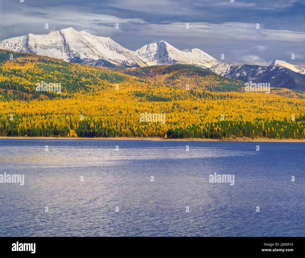 great northern mountain and mount grant in the flathead range above hungry horse reservoir and autumn larch near hungry horse, montana Stock Photo