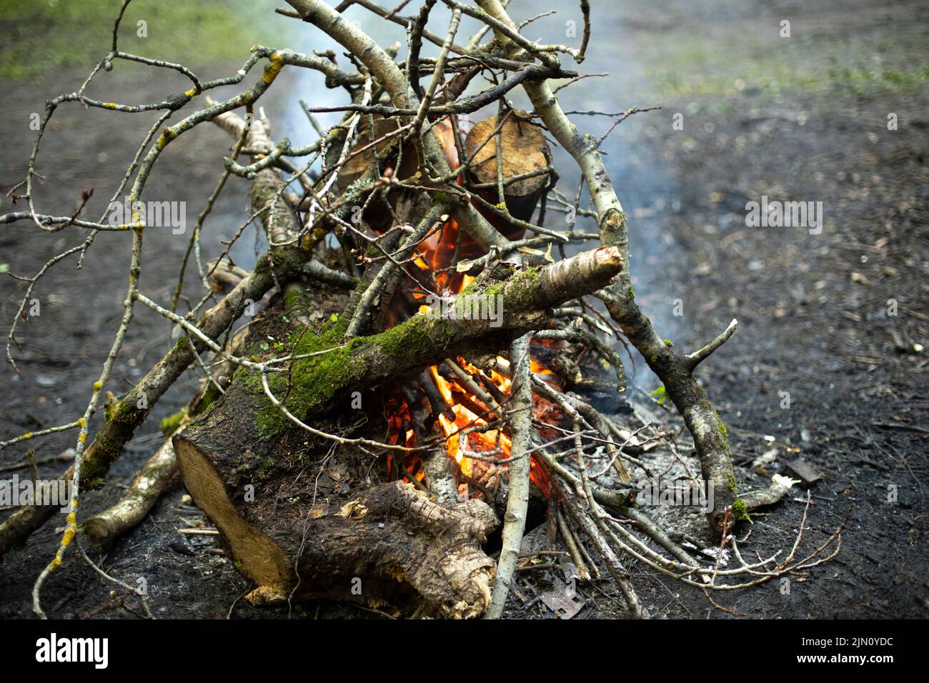 Dry branches burn in grill hi-res stock photography and images - Alamy