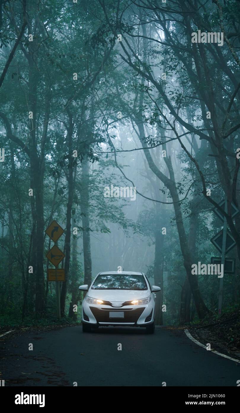 car driving on dark and foggy forest road Stock Photo