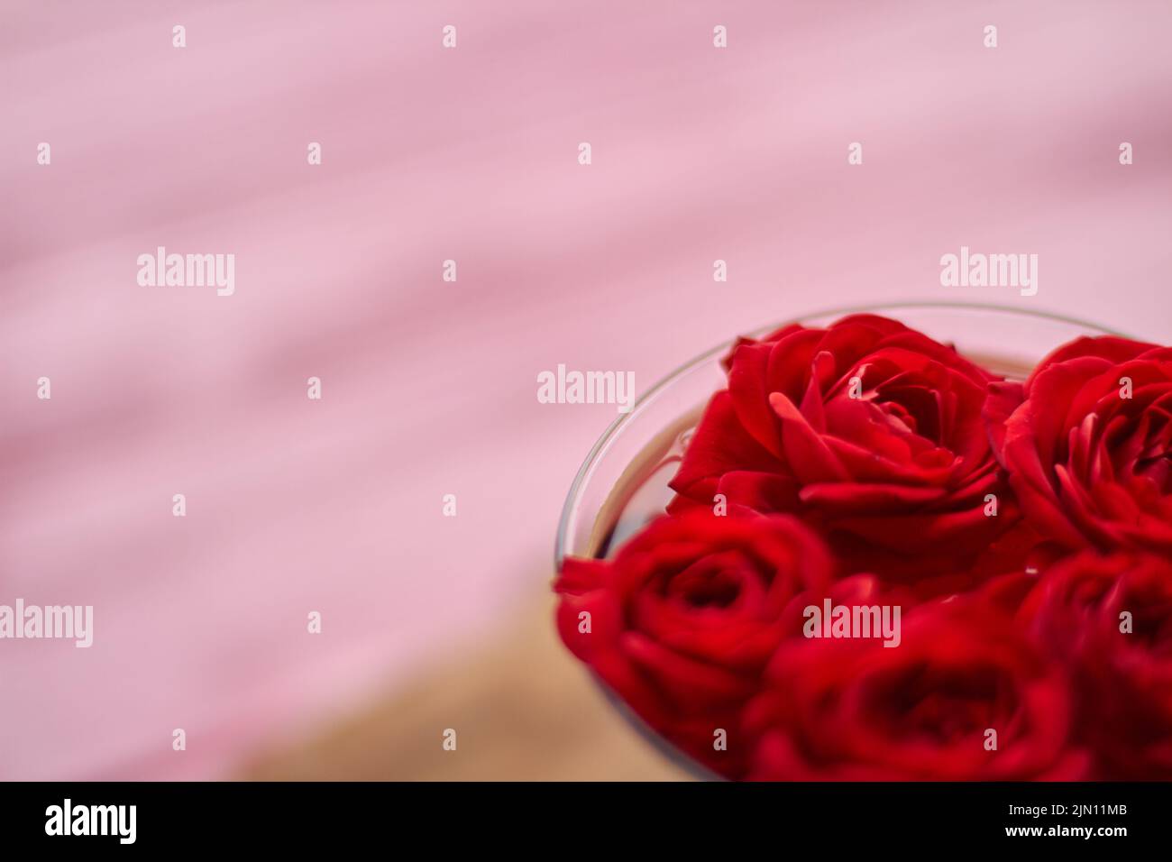 Close up bunch of red roses and copy space. Love and dating concept. Stock Photo