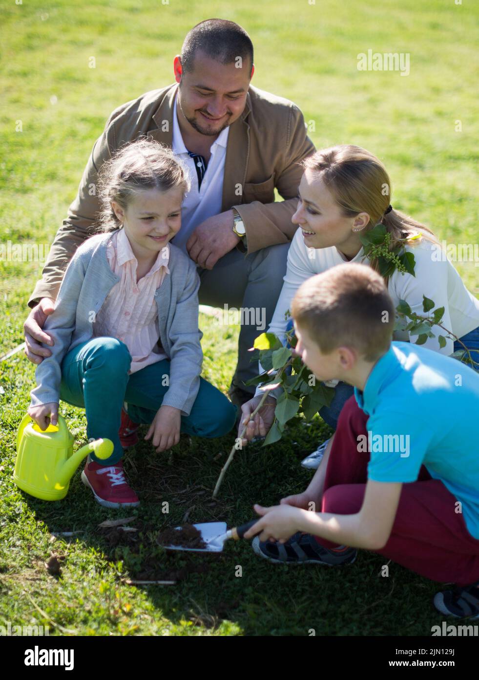 Dad, mom, son and daughter carefully plant a new tree in the park Stock ...