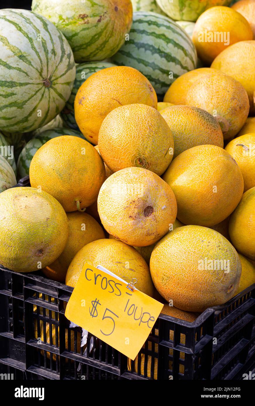 Crossloupe hires stock photography and images Alamy