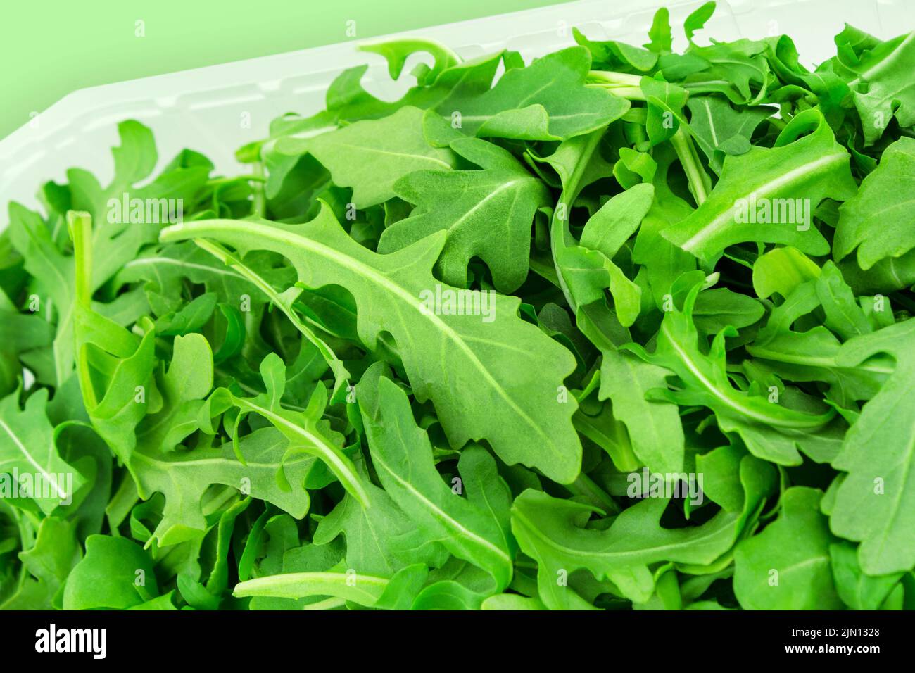 Rucola salad and box close up on green background Stock Photo