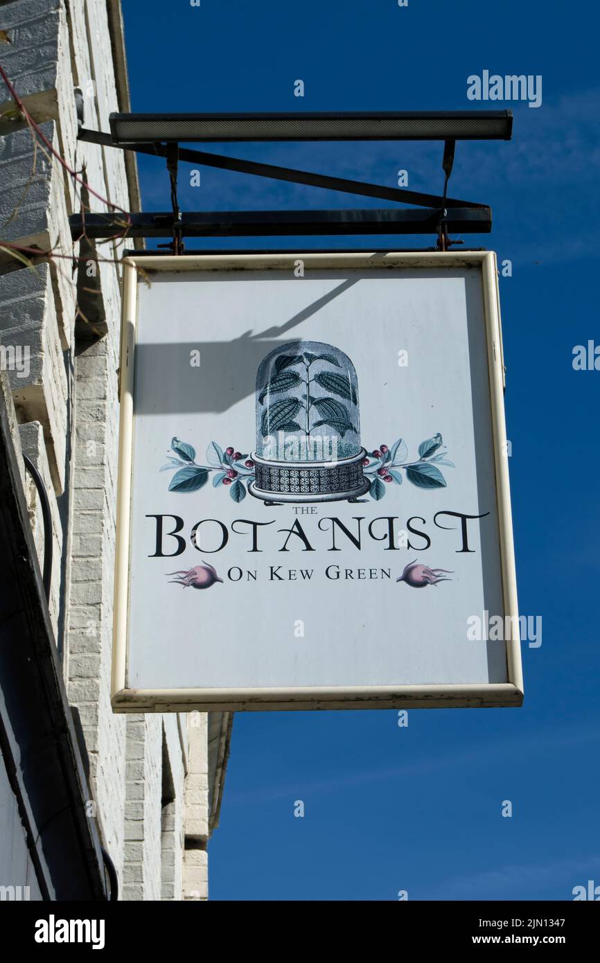 british pub sign for the botanist, on kew green adjacent to kew gardens, london, england Stock Photo