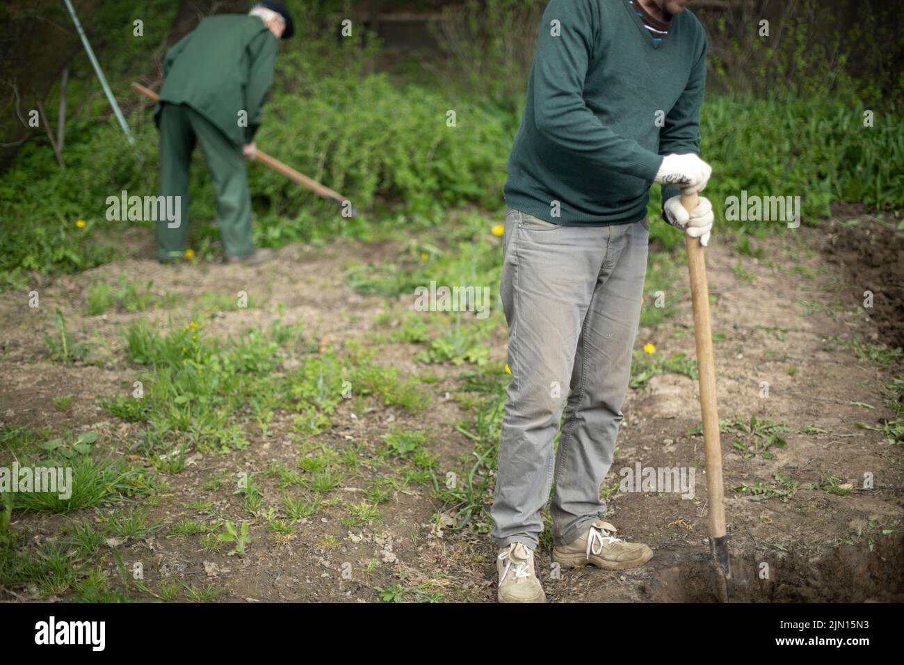 Grandfather and grandson in garden. Digging up garden. Planting. Russians are digging potatoes in garden. Stock Photo