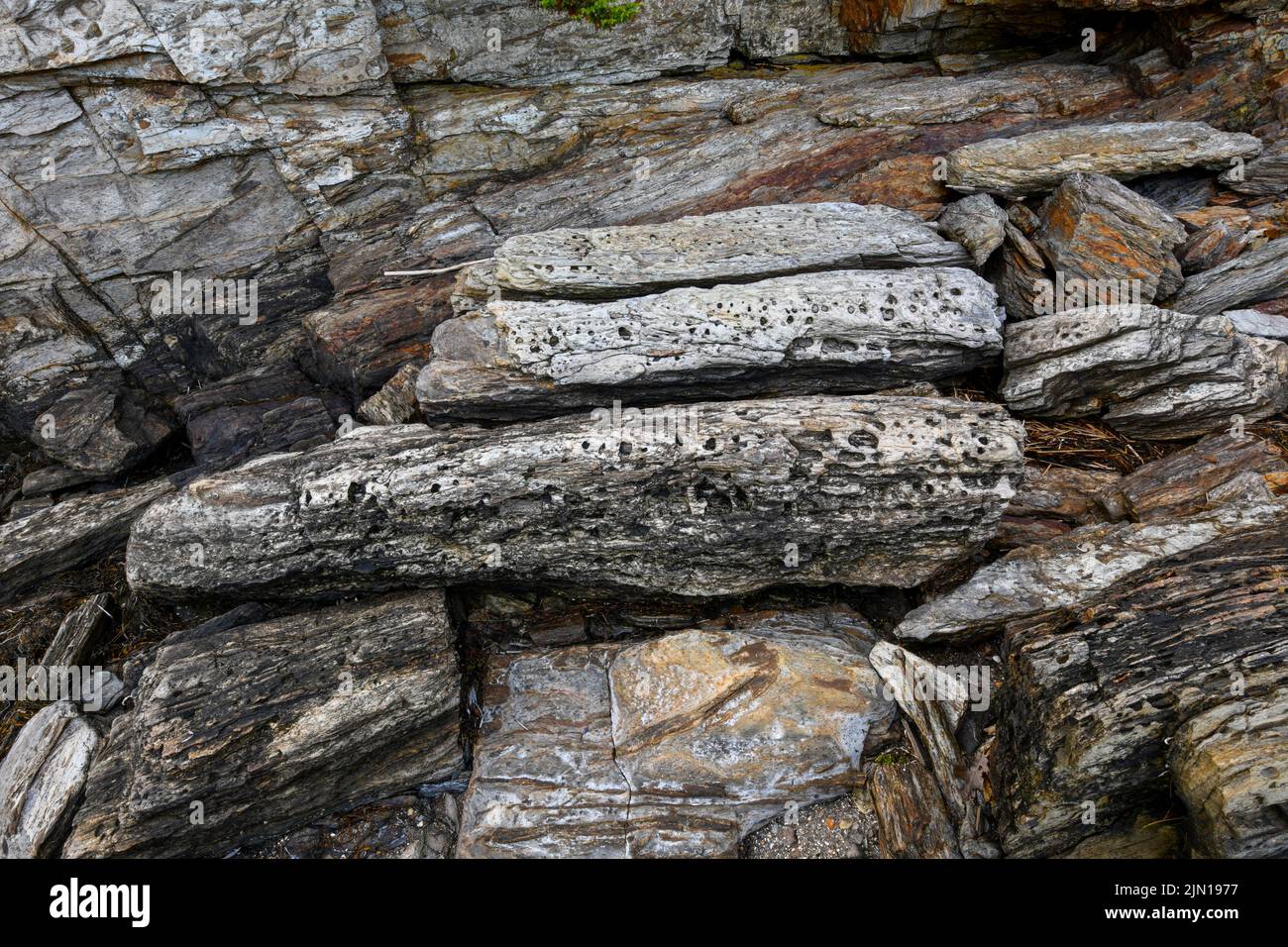 July 10, 2022.  6:11pm.  Rocks at low tide on Barnes Island.  Casco Bay.  Maine.  Tide Series.  Picture 1 of 2. Stock Photo
