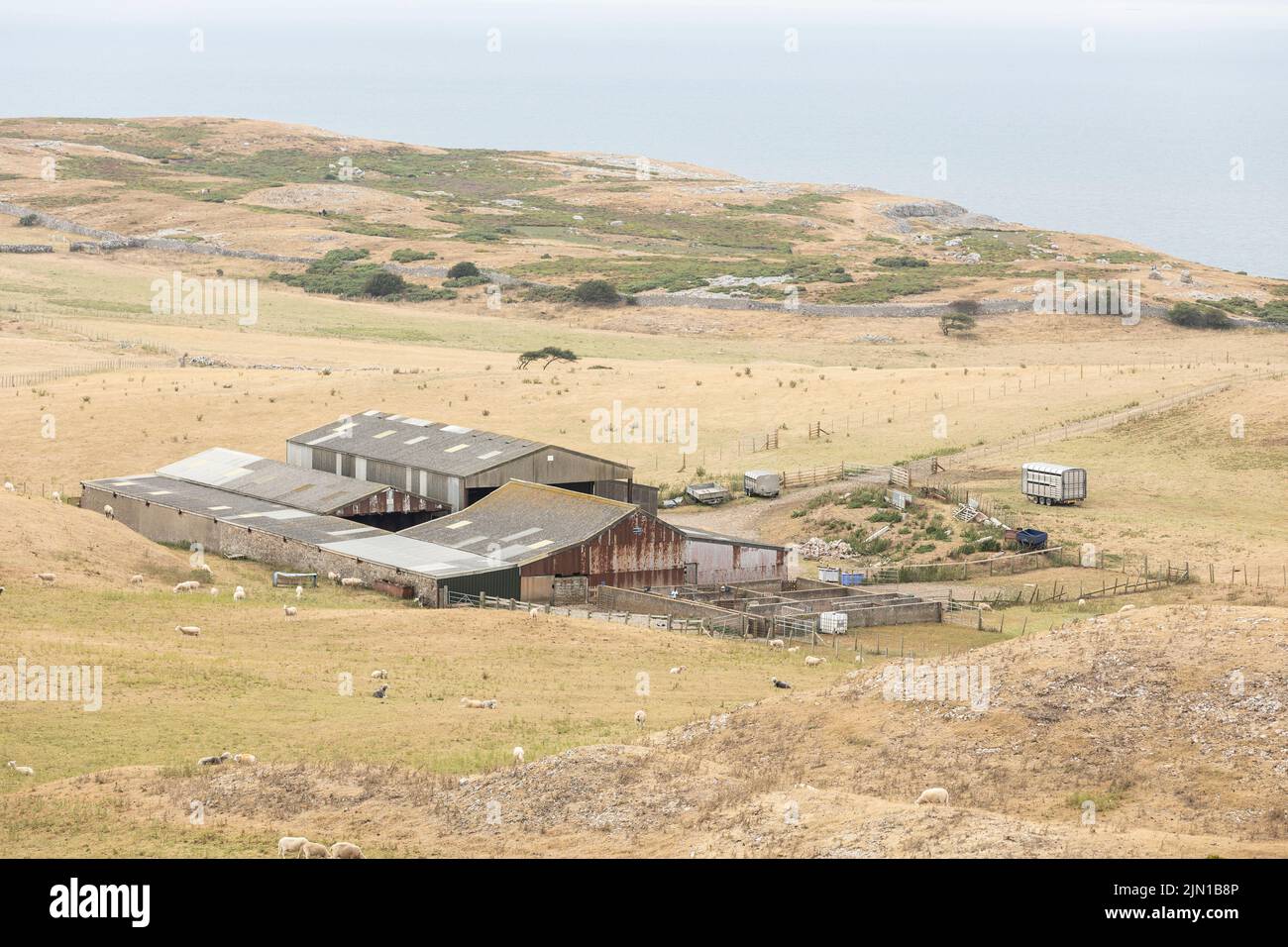 Llandudno north Wales united kingdom 01 August 2022 farm buildings on