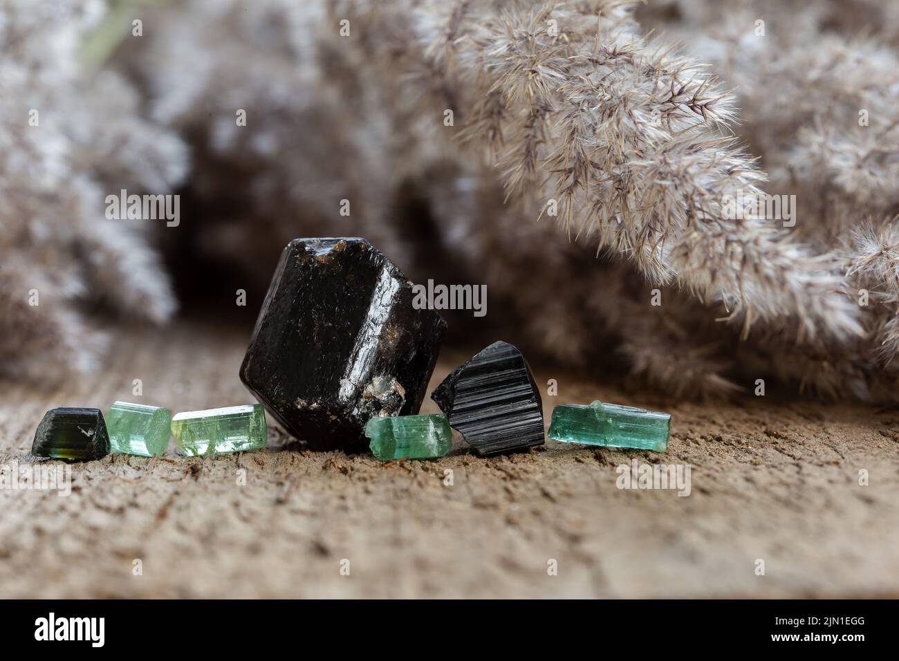 Group of black and green tourmalines on wooden table. Natural crystal stone collection Stock Photo