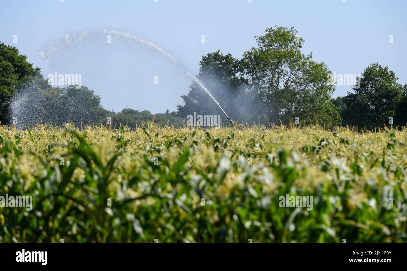 Drought uk 2022 farm hires stock photography and images Alamy