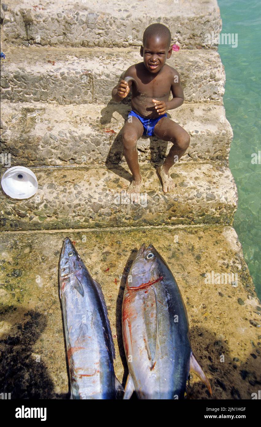 Local boy with thunas at the harbour of Sal Rei, Boavista, Cape Verde Islands, Africa Stock Photo