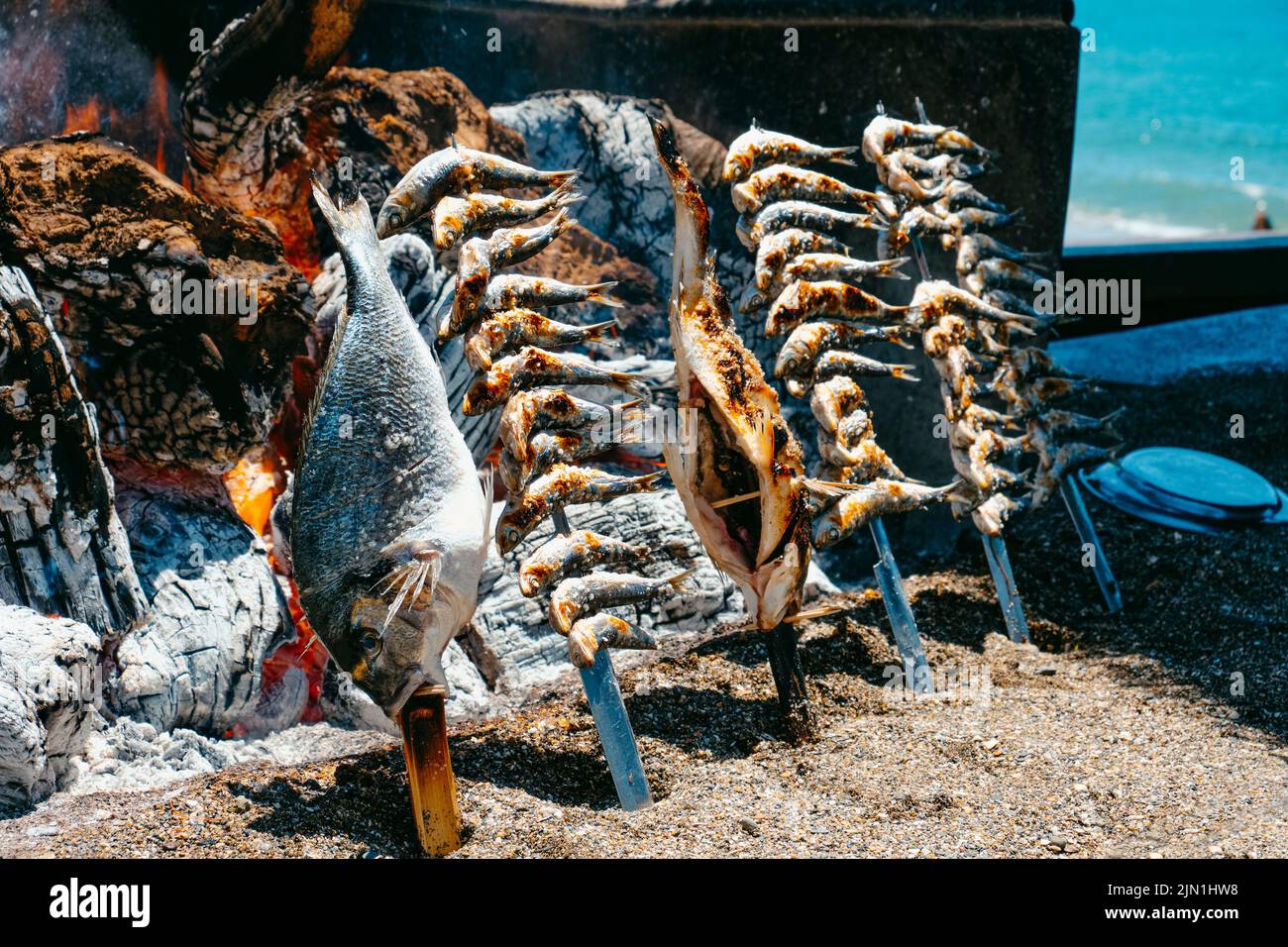 Espetos  Traditional Saltwater Fish Dish From Province of Málaga