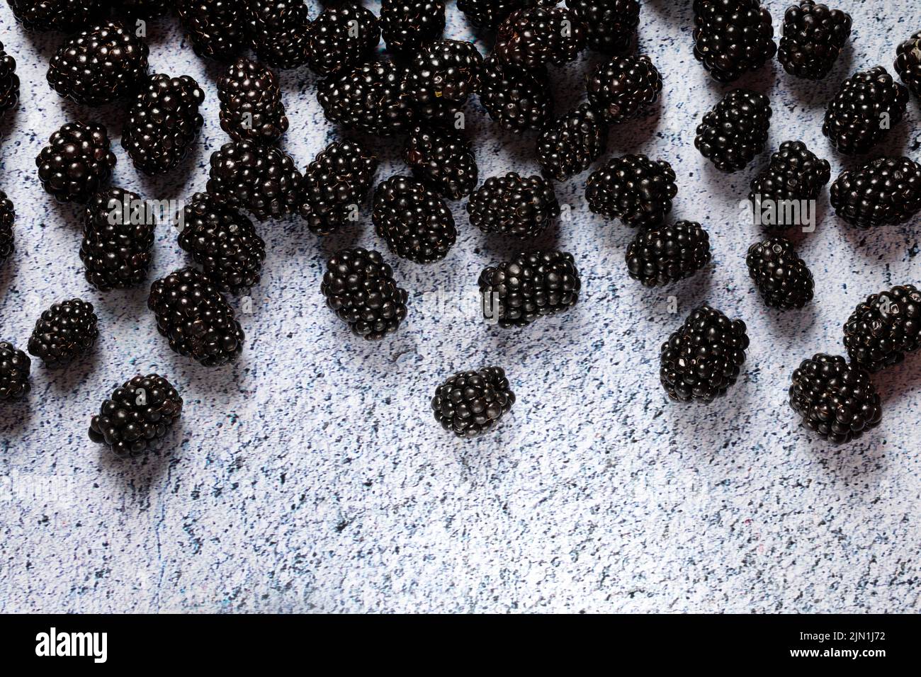 Macro close up of blackberries. Stock Photo