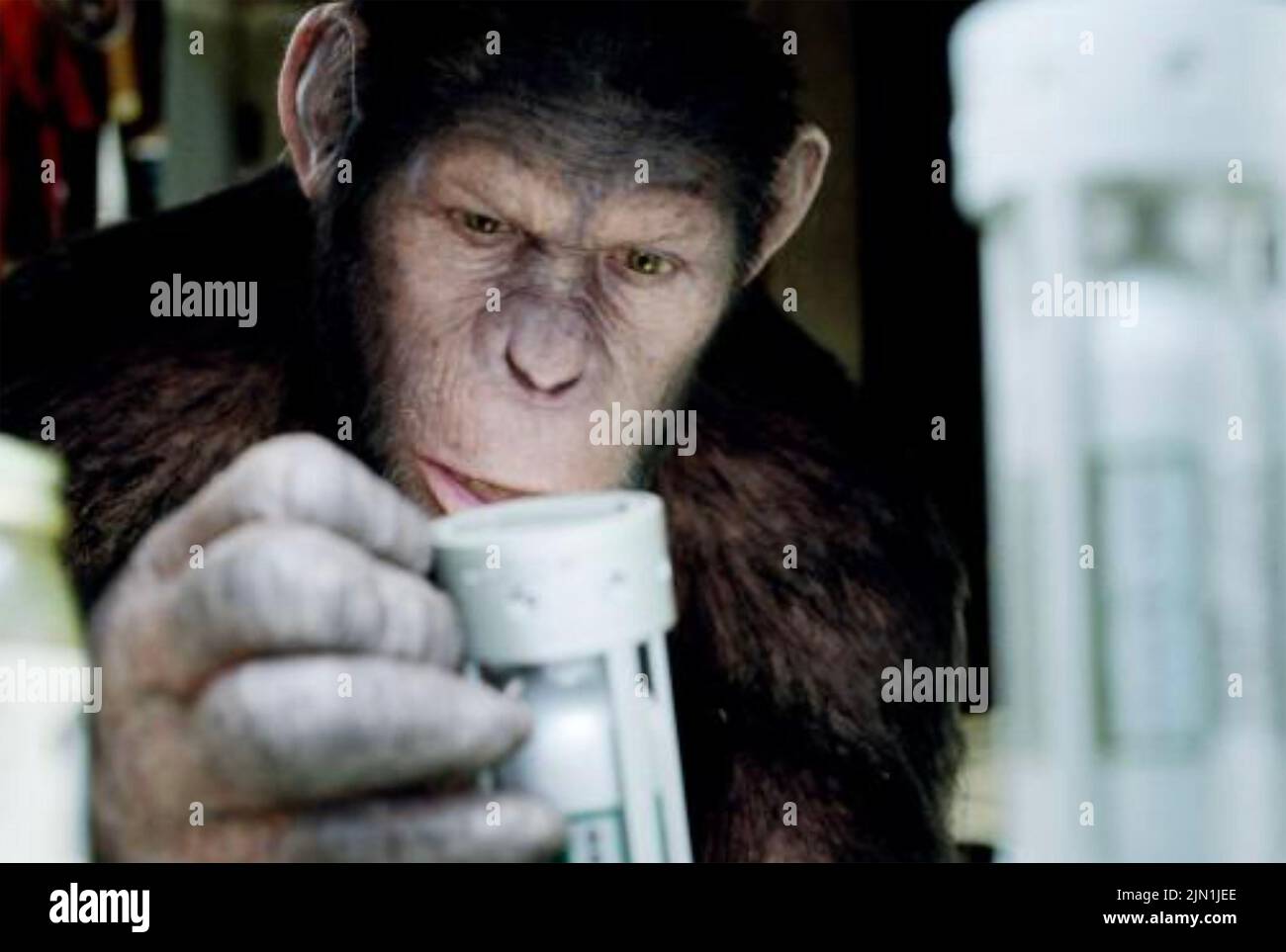 RISE OF THE PLANET OF THE APES 2011 20th Century Fox film Stock Photo
