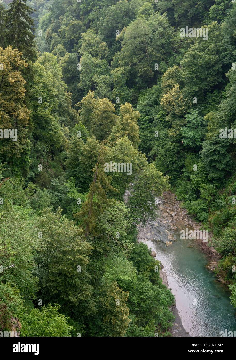 a forested mountain gorge with river running through Stock Photo