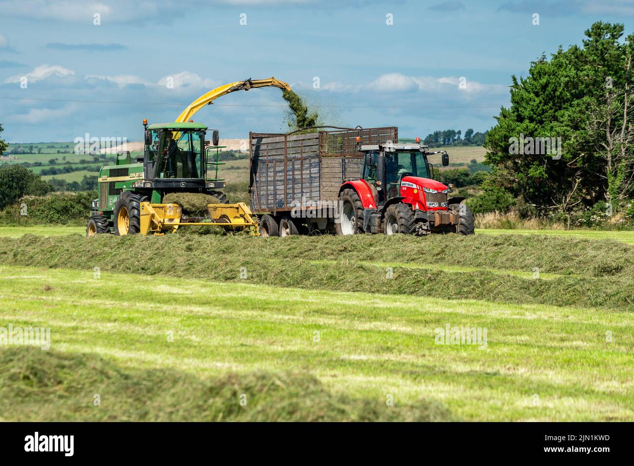 Clonakilty, West Cork, Ireland. 8th Aug, 2022. On a hot and sunny day in West Cork, dairy farmer Mervyn Helen collects silage using a 1998 John Deere 6850 forage harvester. Mervyn milks a herd of 300 cows in Clonakilty. Credit: AG News/Alamy Live News Stock Photo