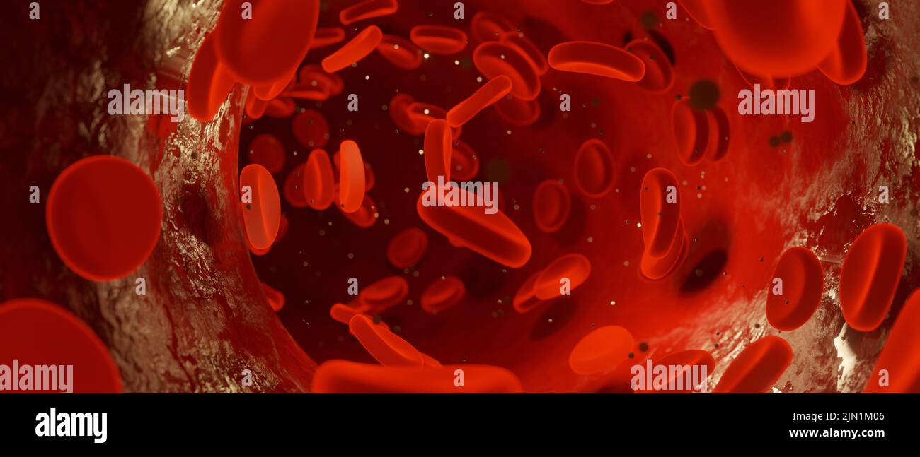 Red blood cells circulating blood vessels 3D Render Stock Photo
