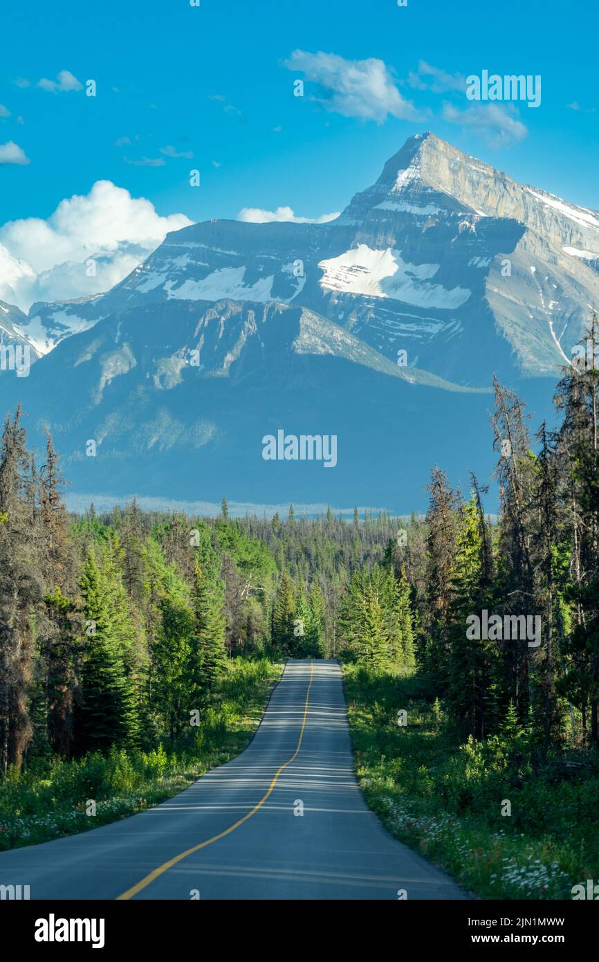 Road through Jasper National Park in Alberta Canada in summer, leading