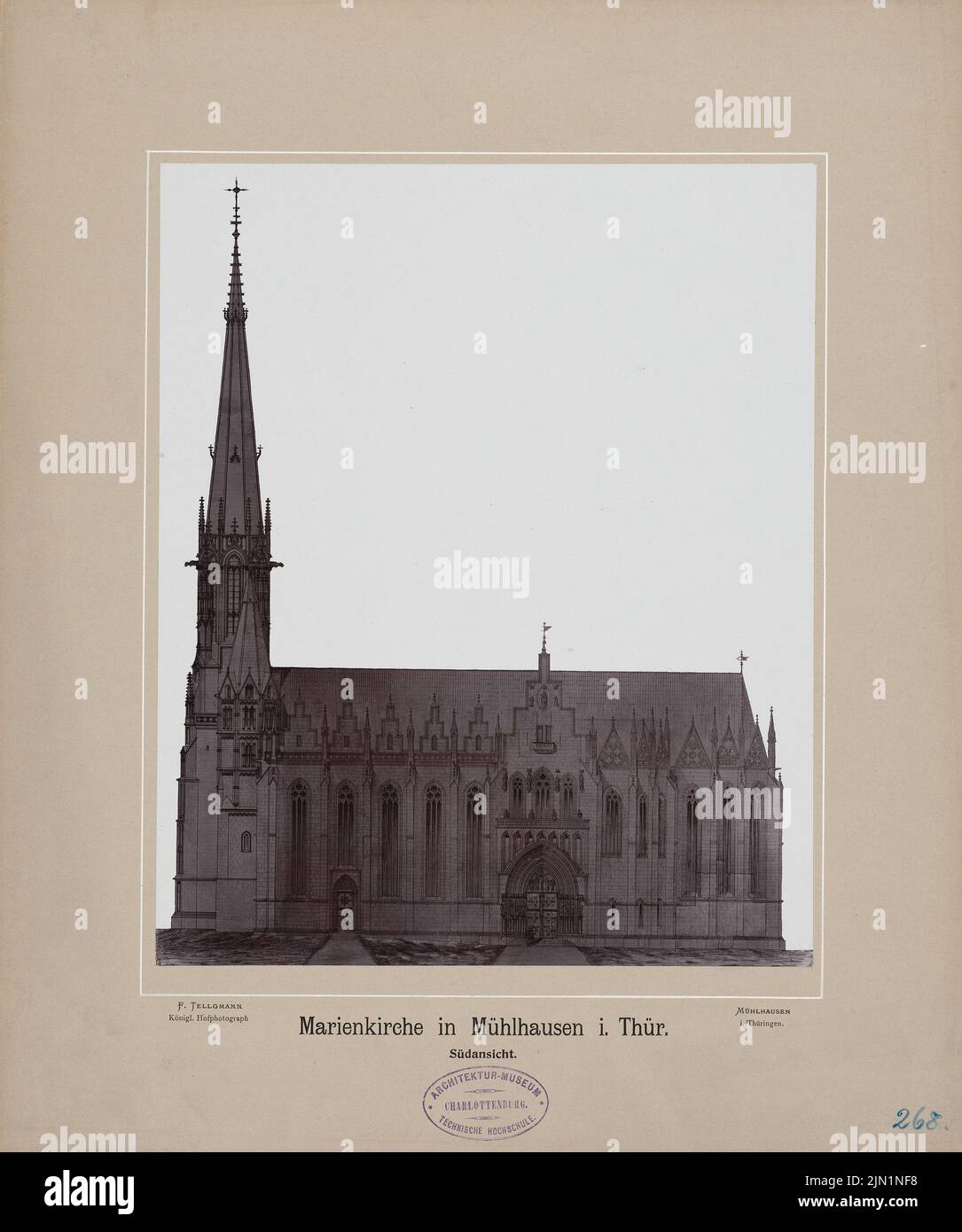 N.N., Marienkirche, Mühlhausen (1902): south view. Photo on cardboard, 41.3 x 34.5 cm (including scan edges) N.N. : Marienkirche, Mühlhausen Stock Photo